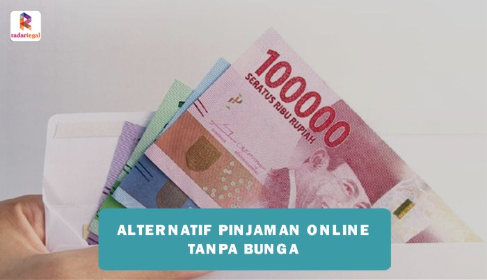 Pinjaman online untuk mengatasi masalah keuangan darurat tanpa agunan