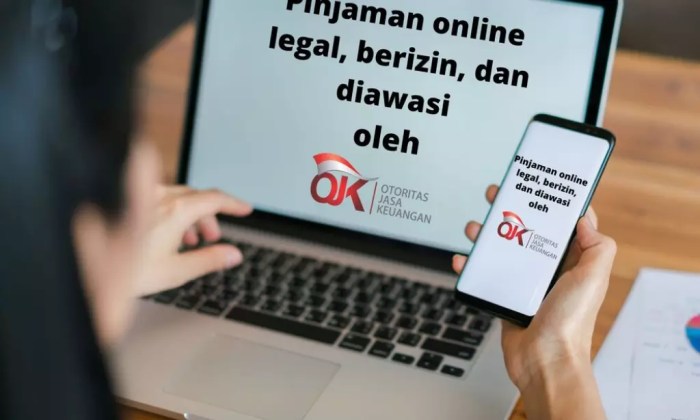 Risiko dan keuntungan menggunakan pinjaman online untuk modal usaha kecil
